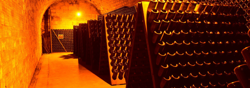 Champagne Michel Fagot, Champagne Michel Fagot rilly la montagne