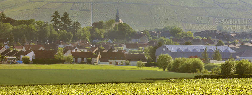 Chablis-grand-cru Vignoble chablis grand cru