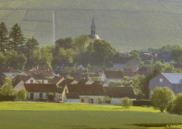 Vignoble de chablis