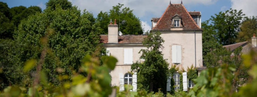 domaine comte senard