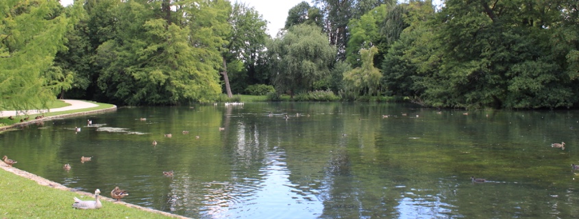 parc-de-la-bouzaize-beaune
