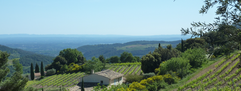 Vignoble Appellation Côtes-du-Rhône régional Vignoble Appellation Côtes-du-Rhône régional