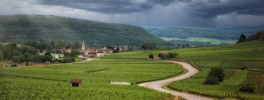 vignoble-bourgogne-route-grands-crus