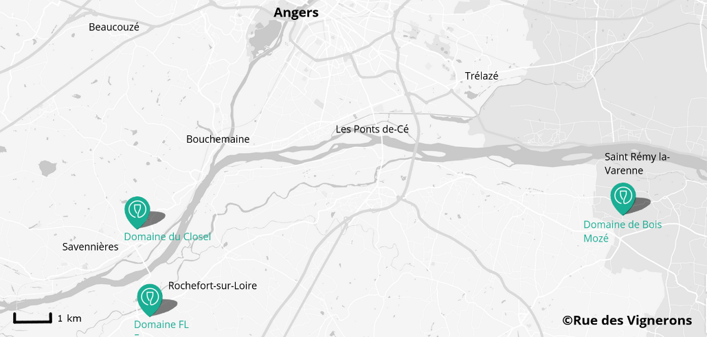 Domaines proches d'Angers