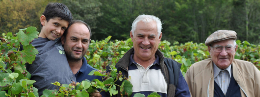 Domaine Benoit Daridan