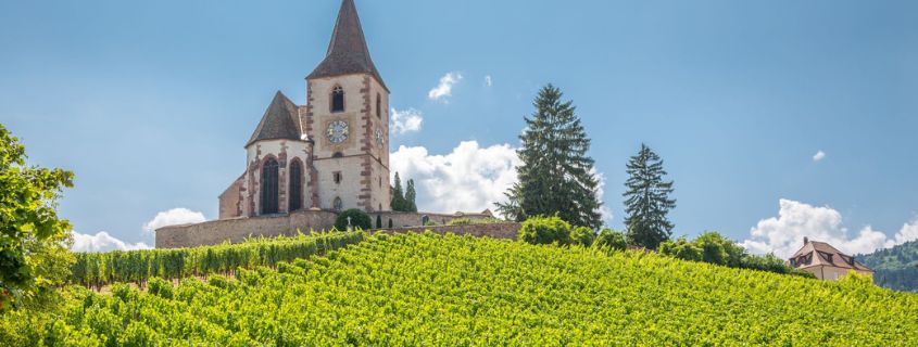 wine tour alsace from colmar wine tour alsace from colmar