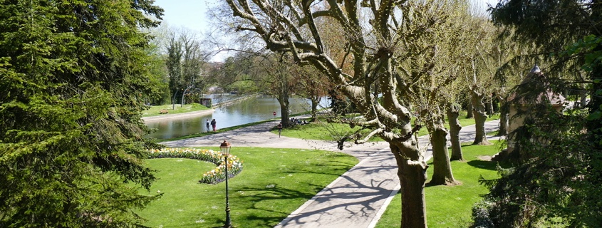 parc de l'arbre sec auxerre parc de l'arbre sec auxerre