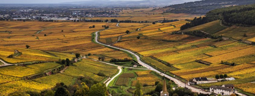 burgundy wine tour