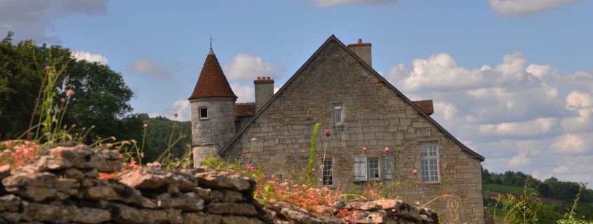 Burgundy wine tour from Dijon