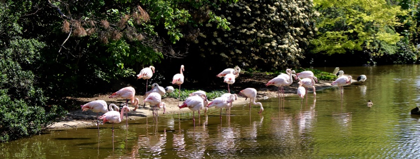 zoo bandol parc animalier