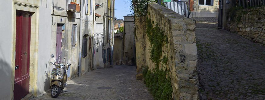 Vieux montpellier