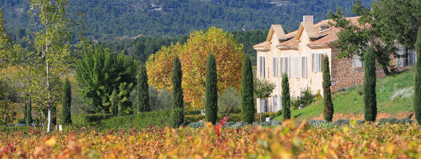 Château Paradis Coteaux d'aix en provence