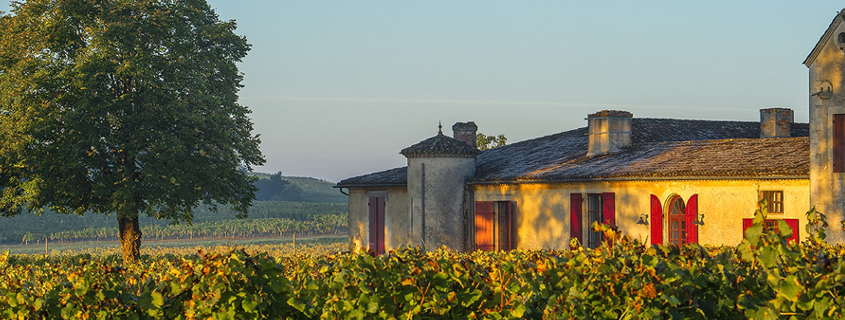 chateau sigalas rabaud sauternes, visite grand cru classé sauterne, visite domaines sauternes, visite domaines route des vins graves et sauternes, vignoble sauternes