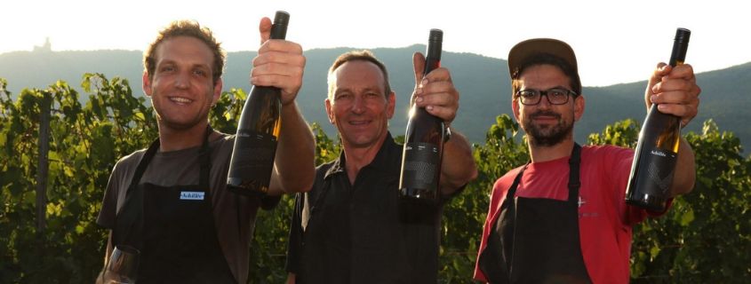 dégustation route des vins d'alsace, domaine Achillée