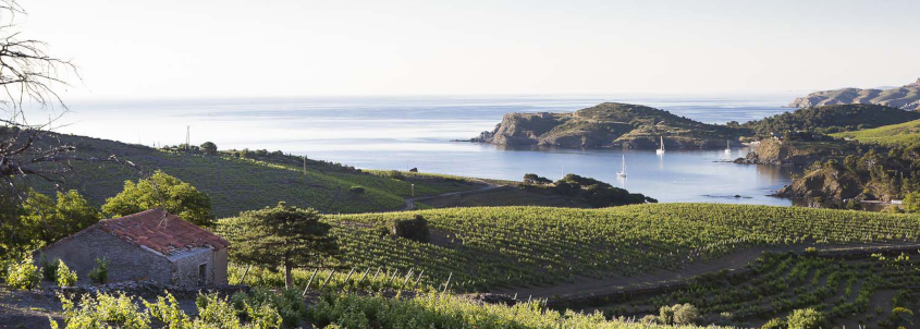 route des vins du roussillon, route des vins en roussillon, carte route des vins roussillon, vin roussillon, route des vins