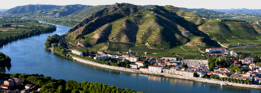 Route des vins de la Vallée du Rhône nord