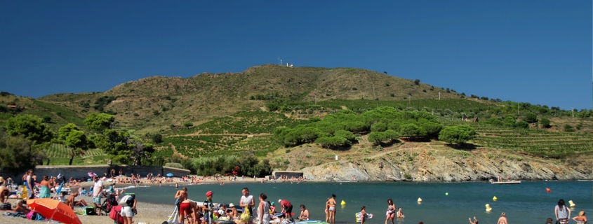 Roussillon clos paulilles