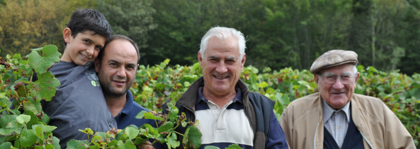 Domaine Benoit Daridan, Domaine Benoit Daridan Cour-Cheverny