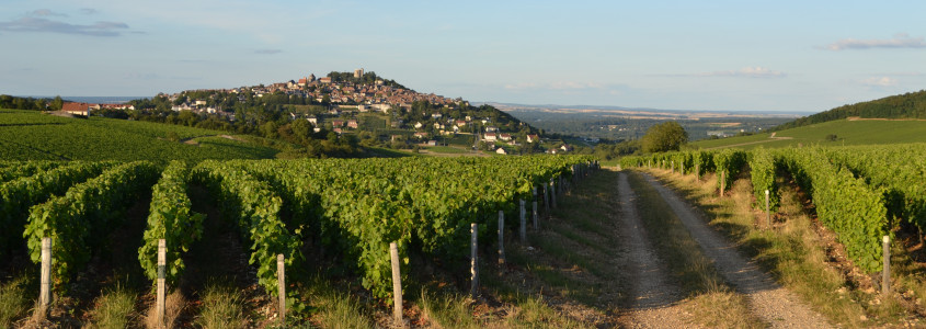 Route des vins en Centre Val de Loire, Route des vins de Loire, domaines viticoles Route des vins en Centre Val de Loire, dégustation vin Route des vins en Centre Val de Loire