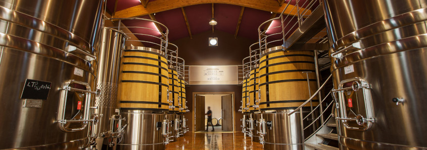 Cuvier du Château Bernateau, château Bernateau, château bernateau saint etienne de lisse, visite domaine portes ouvertes saint emilion, portes ouvertes saint emilion, dégustation portes ouvertes saint emilion, 20 ans juridiction st emilion