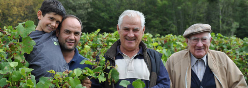 Domaine Benoit Daridan, Domaine Benoit Daridan Cour-Cheverny, Visite domaine Blois, Dégustation Blois