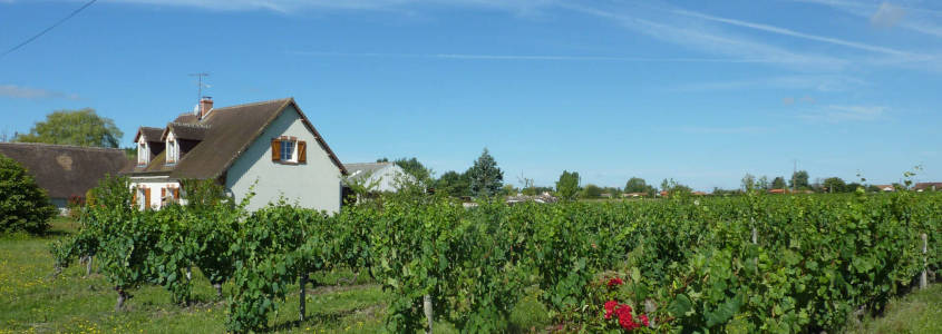 Domaine du Vardet, Domaine du Vardet Mont-près-Chambord, Visite domaine Blois, Dégustation vins blois