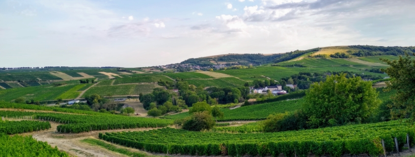 Terroir Vallée de la Loire