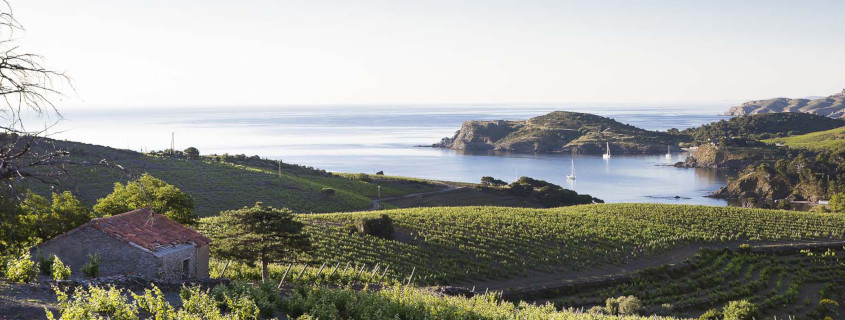 Guide des vins du Languedoc Roussillon
