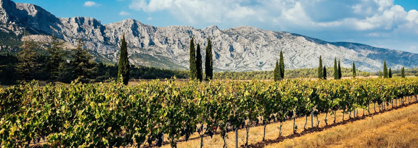 Terroir de Provence
