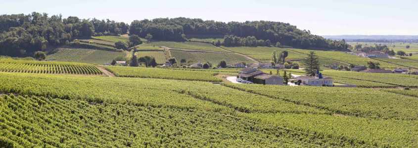 Terroir Bordelais, guide des vins de bordeaux, sols bordelais