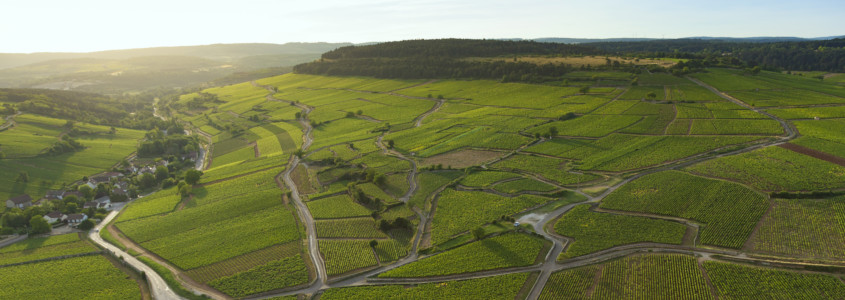 Vin de Bourgogne : Terroir, terroir bourguignons, terroir vins bourgogne, sols bourgogne, climats de bourgogne