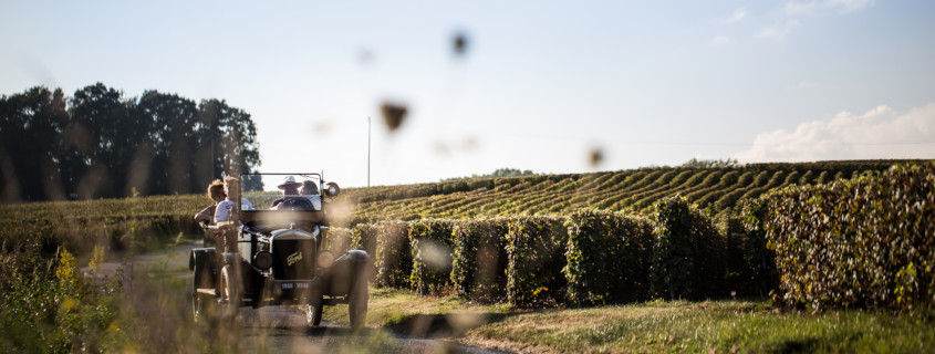 Vignoble de Champagne