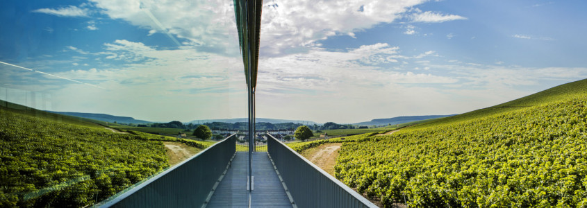 Vignoble de Champagne, vignoble champenois