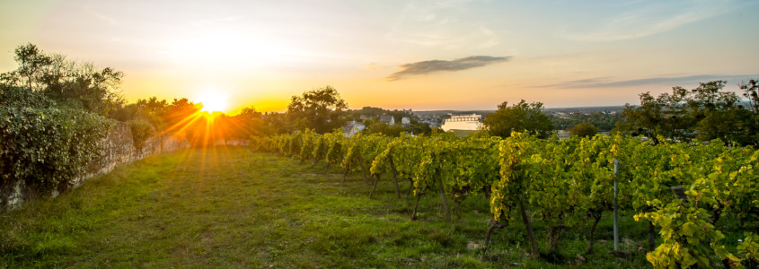 Appellations Loire