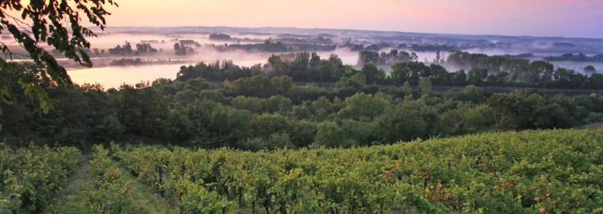 Terroir Vallée de la Loire