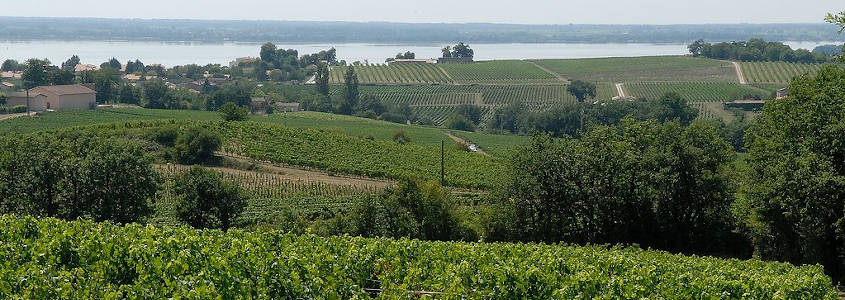 Blaye, Vignoble Bordeaux, Visiter Blaye