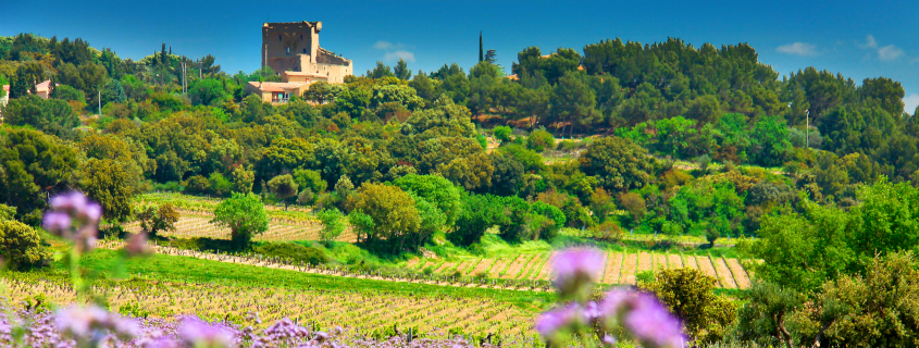 Vins de la Vallée du Rhône