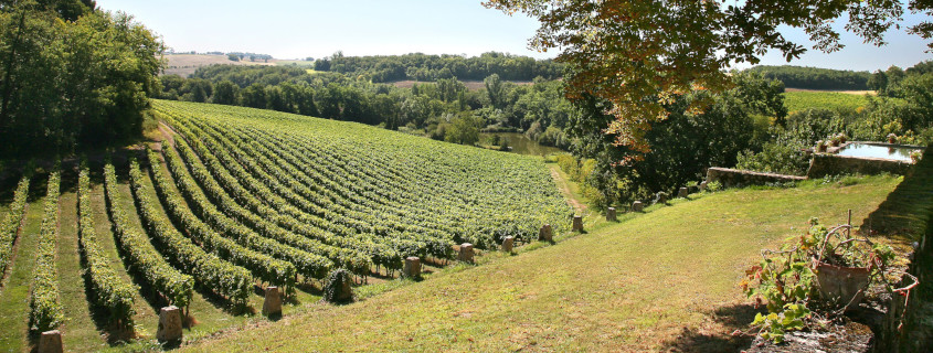 Vins du Sud Ouest