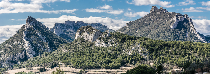 Terroir des vins de la vallée du Rhône