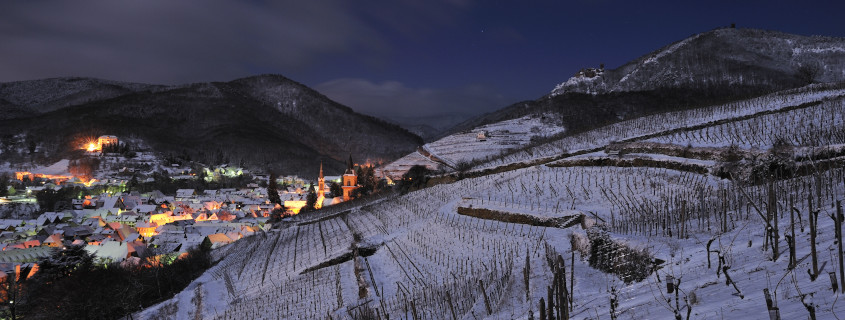 Domaine Louis Sipp, Ribeauvillé