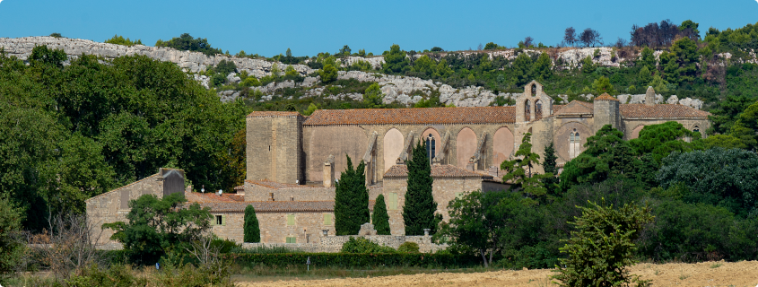 Abbaye de Valmagne