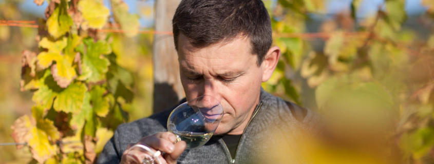 Route des vins de Colmar, Alsace, Visiter l'Alsace, Route des vins d'Alsace, Colmar, Que faire en Alsace