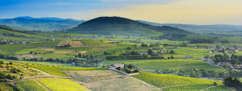 mont brouilly, randonnée, beaujolais, montagne, vin, marche, sport, paysage