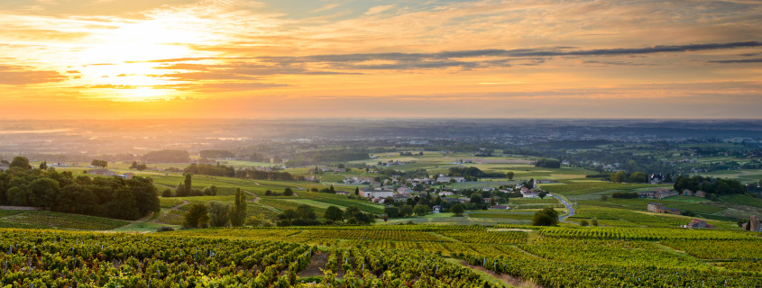 vignoble Beaujolais