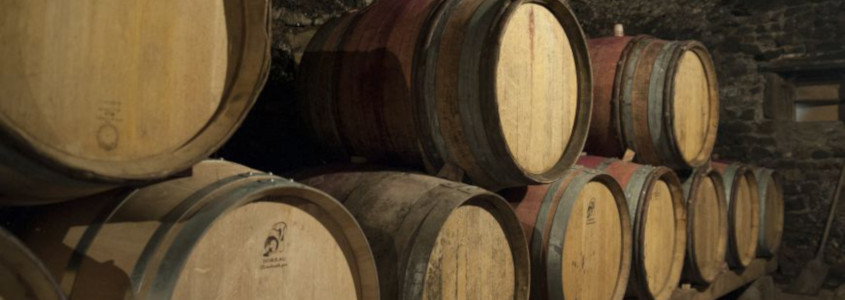 barrique beaujolais