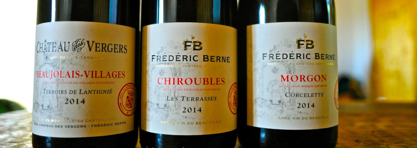 vins cepage beaujolais