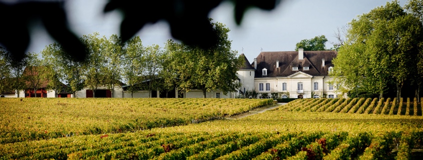 le vignoble des graves