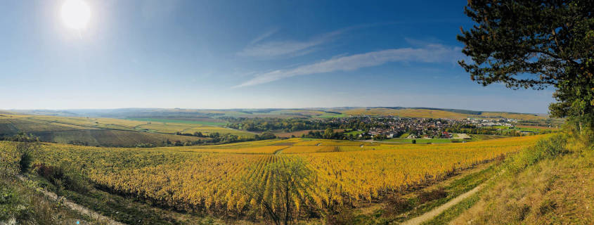 vignoble-site- randonnées