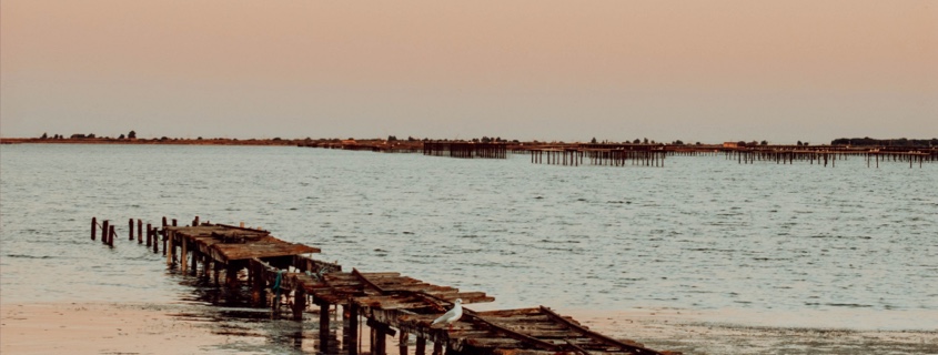 etang de thau mer bateaux