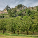 Village de Ménerbes dans le Lubéron